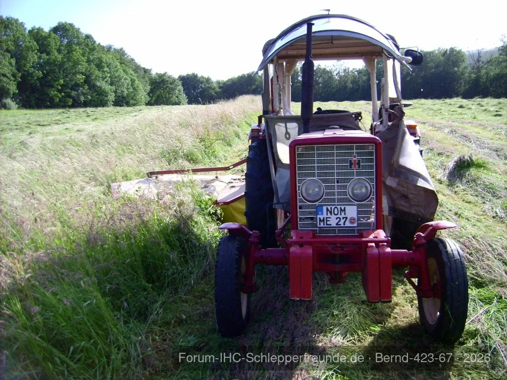Bernd
