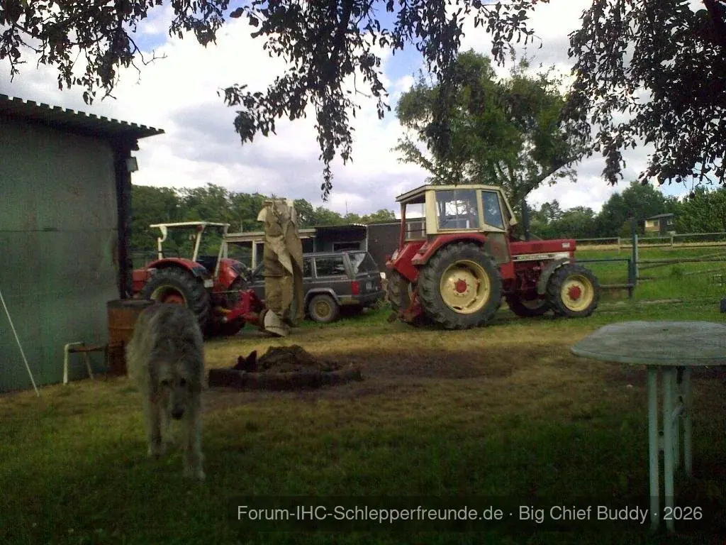 Big Chief Buddy