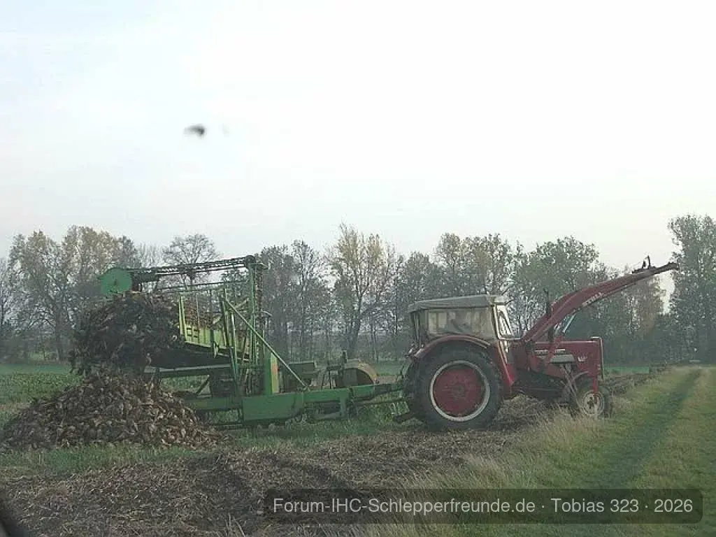 bin mal wieder so frei