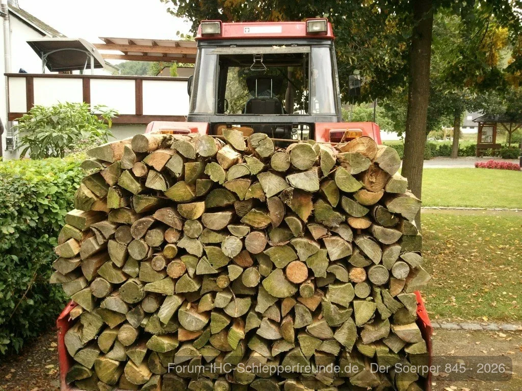 Bisschen Brennholz geholt
