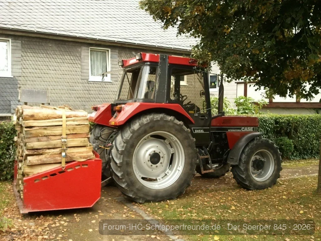 Bisschen Brennholz geholt