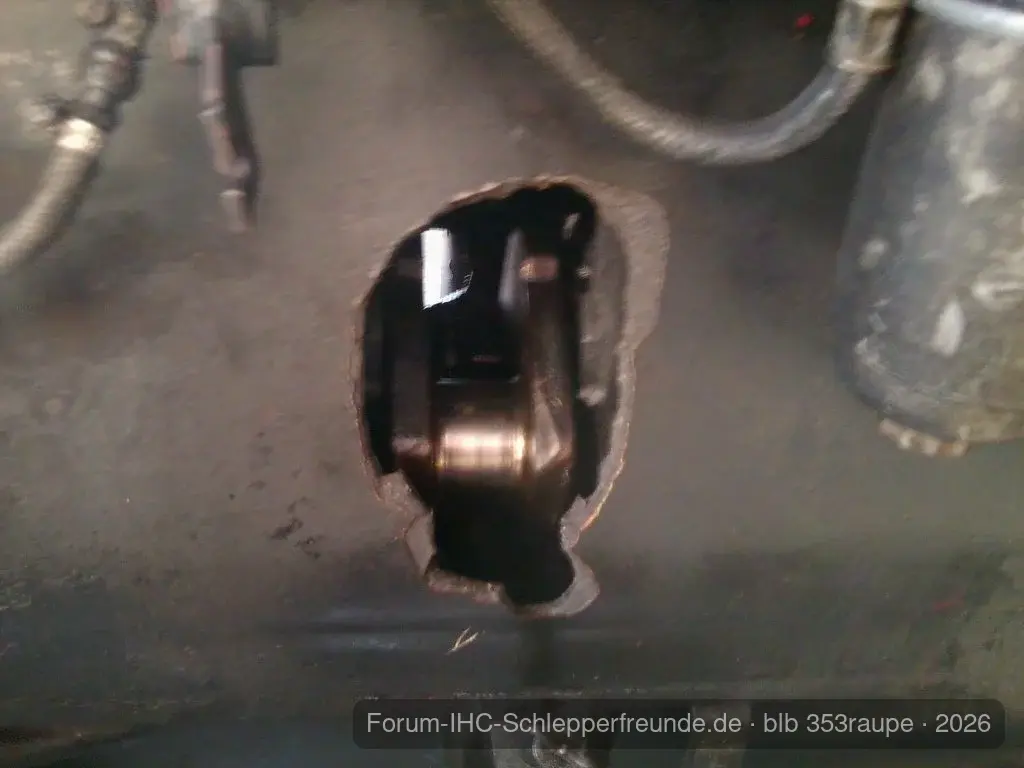 blb 353raupe