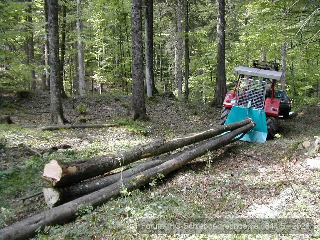 Brennholz arbeiten