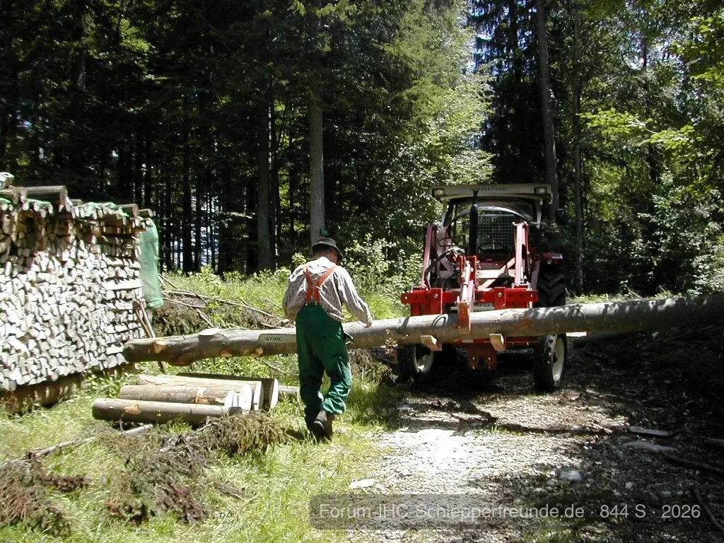 Brennholzarbeiten 2011