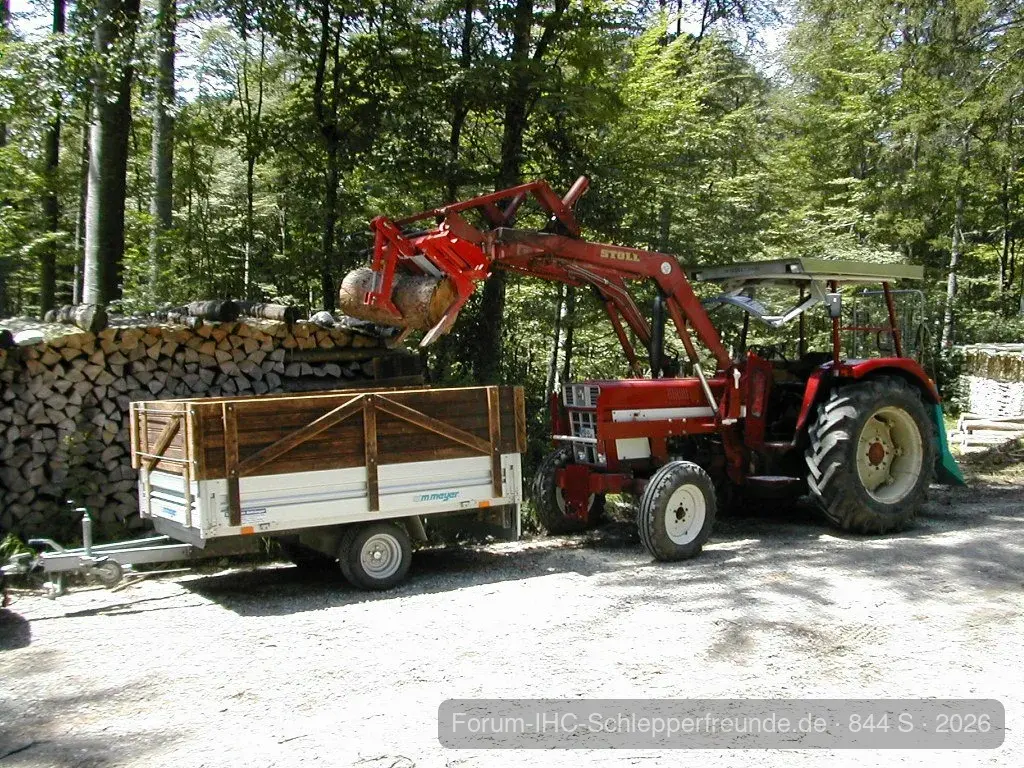 Brennholzarbeiten 2011