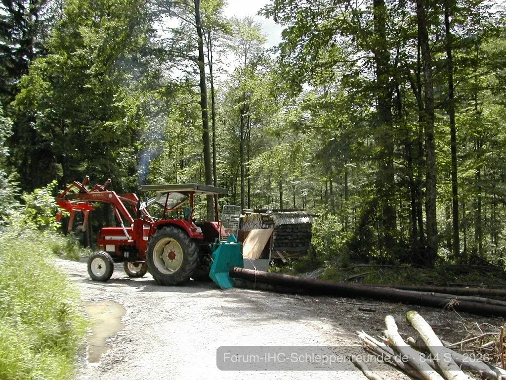 Brennholzarbeiten 2011