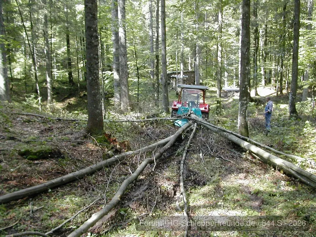Brennholzarbeiten 2011