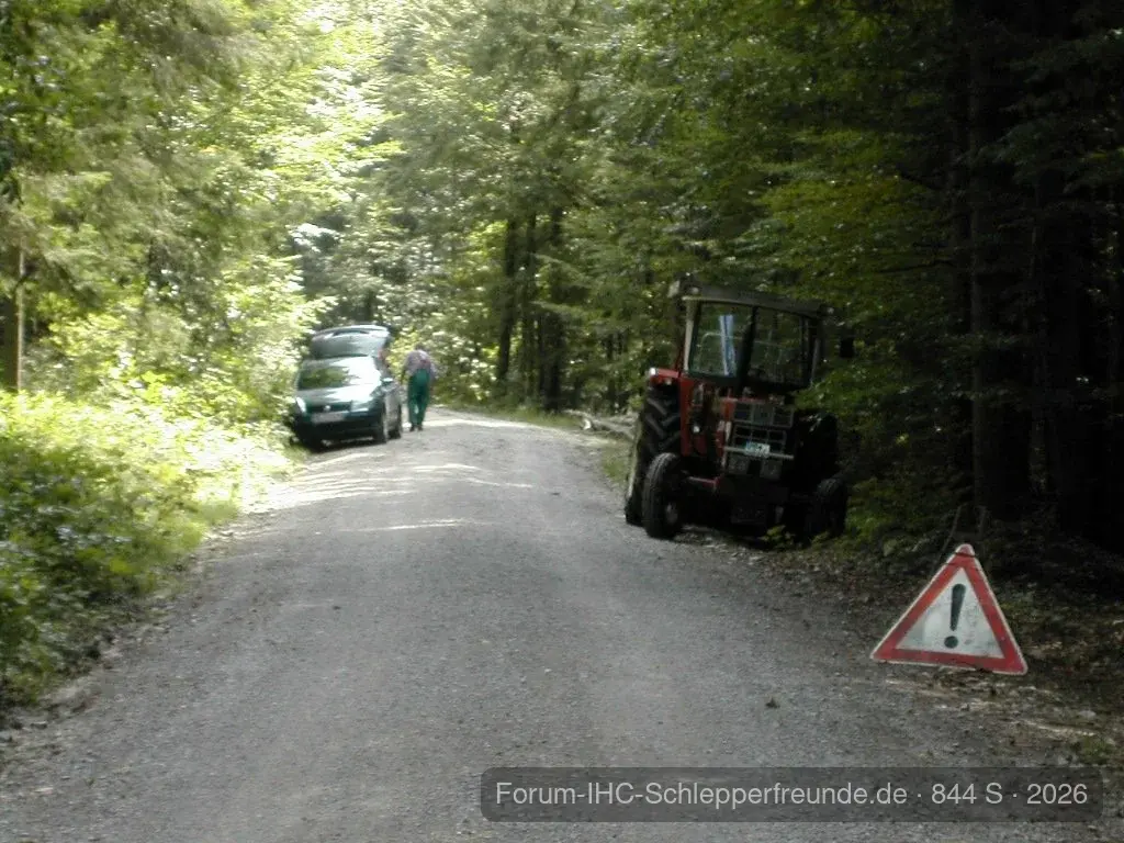 Brennholzarbeiten 2011