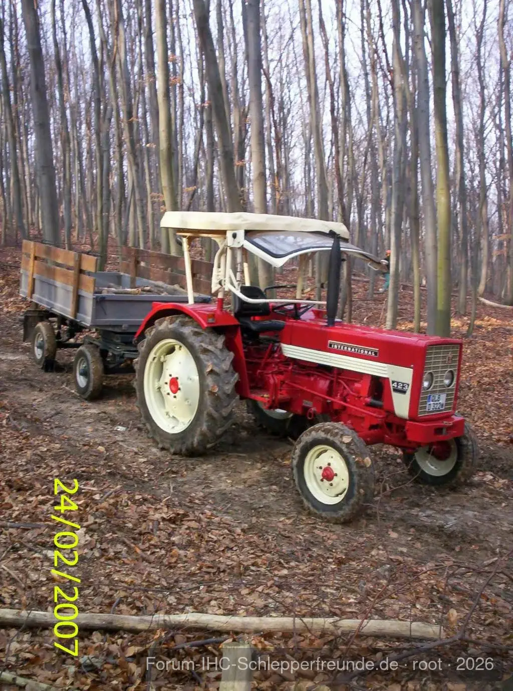 bulldog423