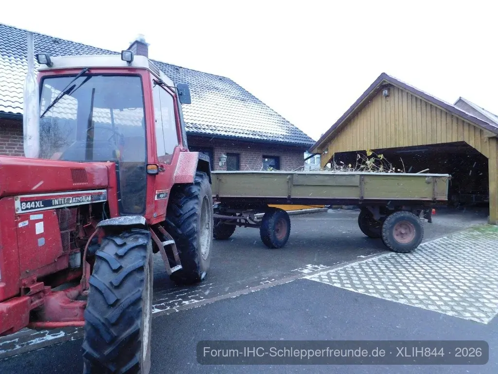 Busch weg Fahren
