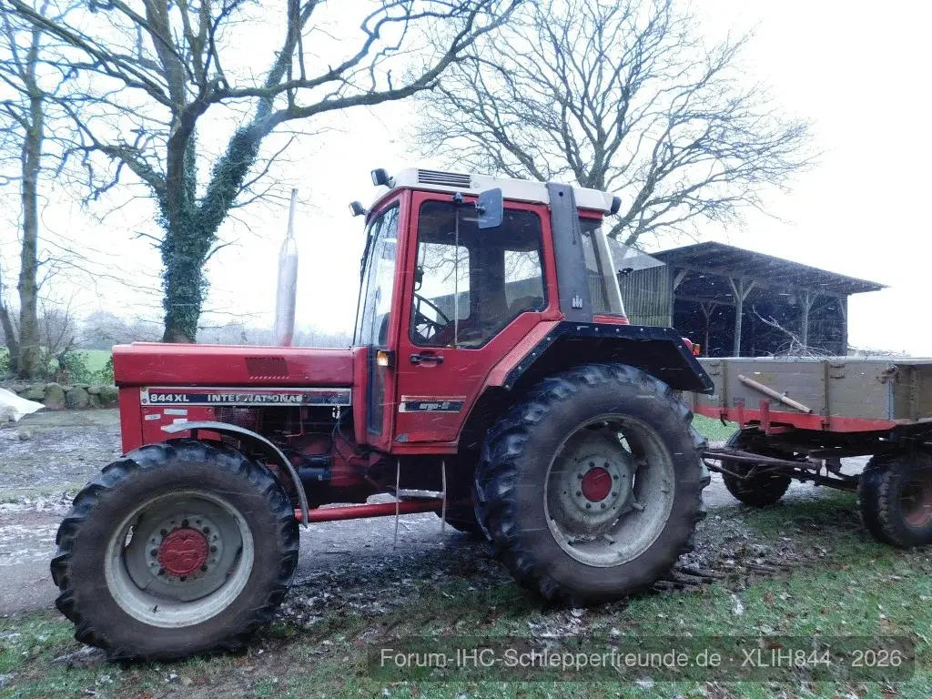 Busch weg Fahren