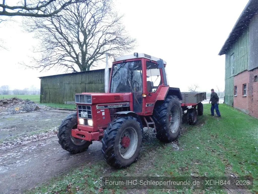 Busch weg Fahren