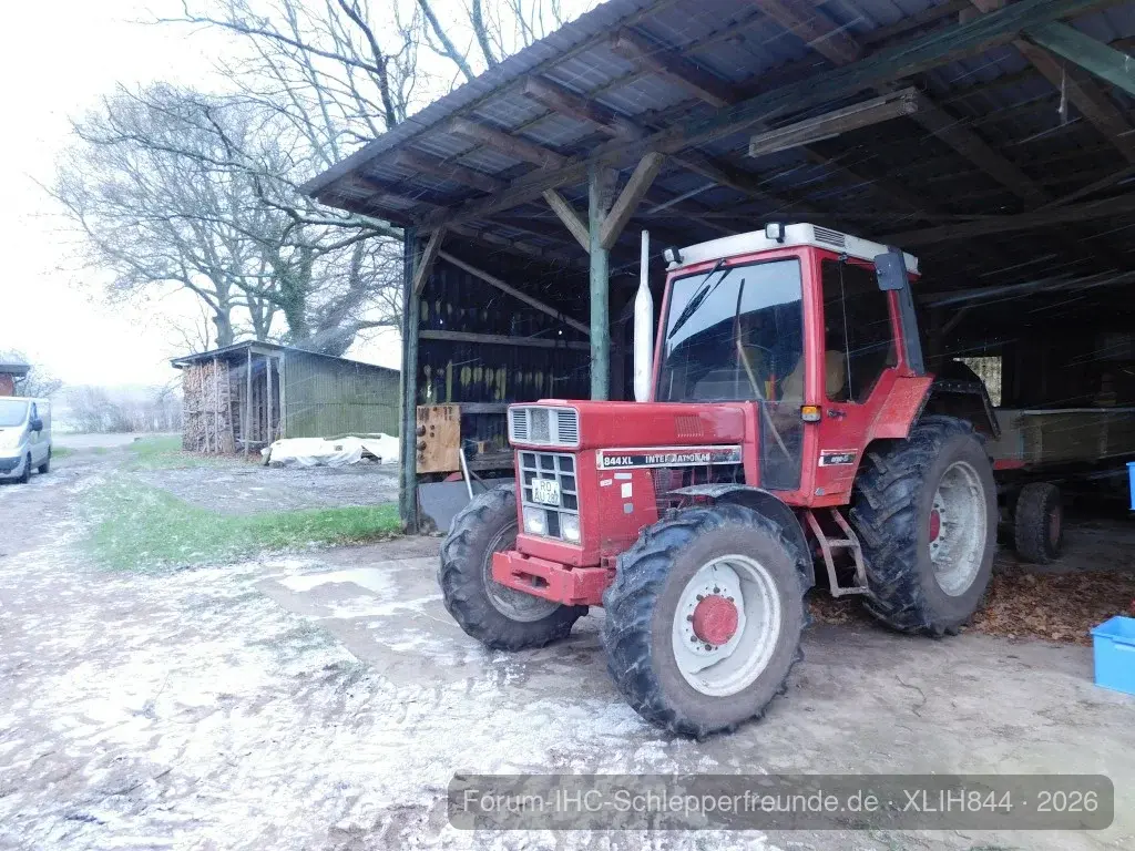 Busch weg Fahren