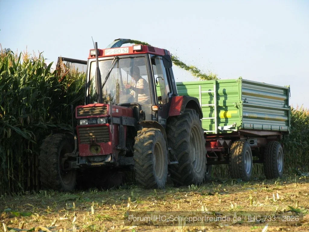 Case 844XL bei der Maisernte