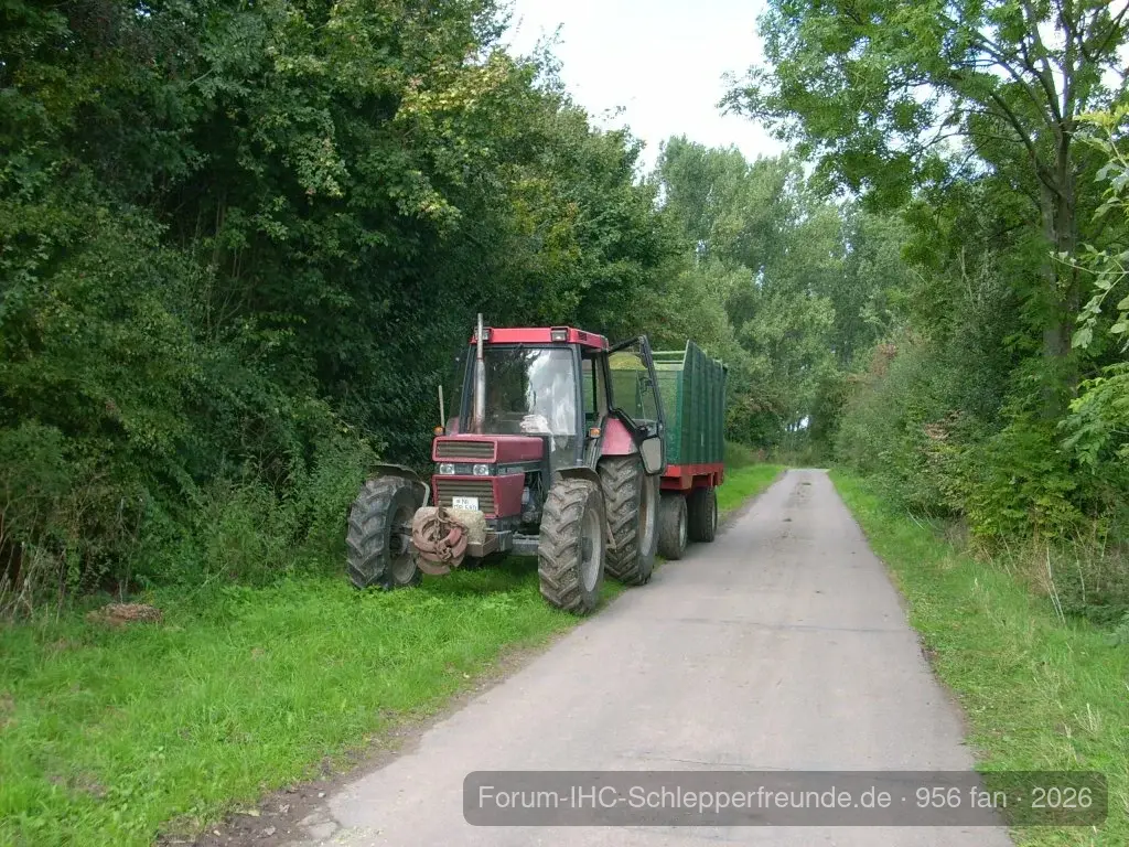 Case 956 Formel V