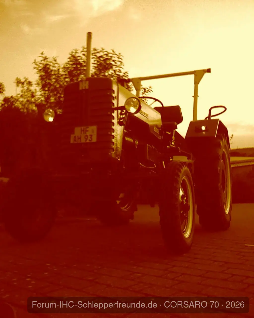 D-219