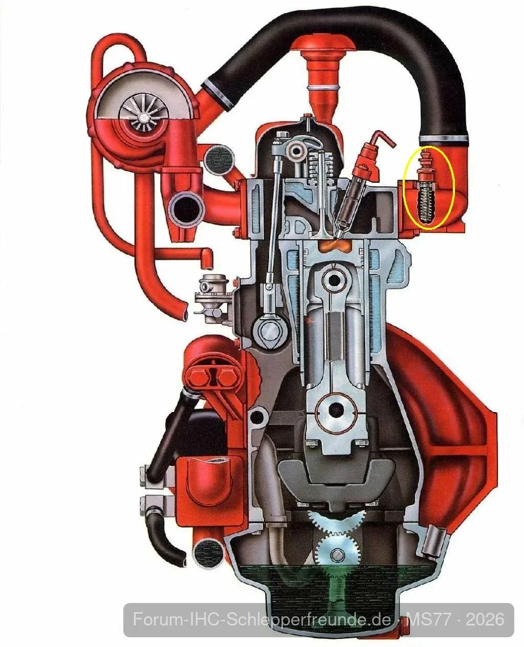 D-239