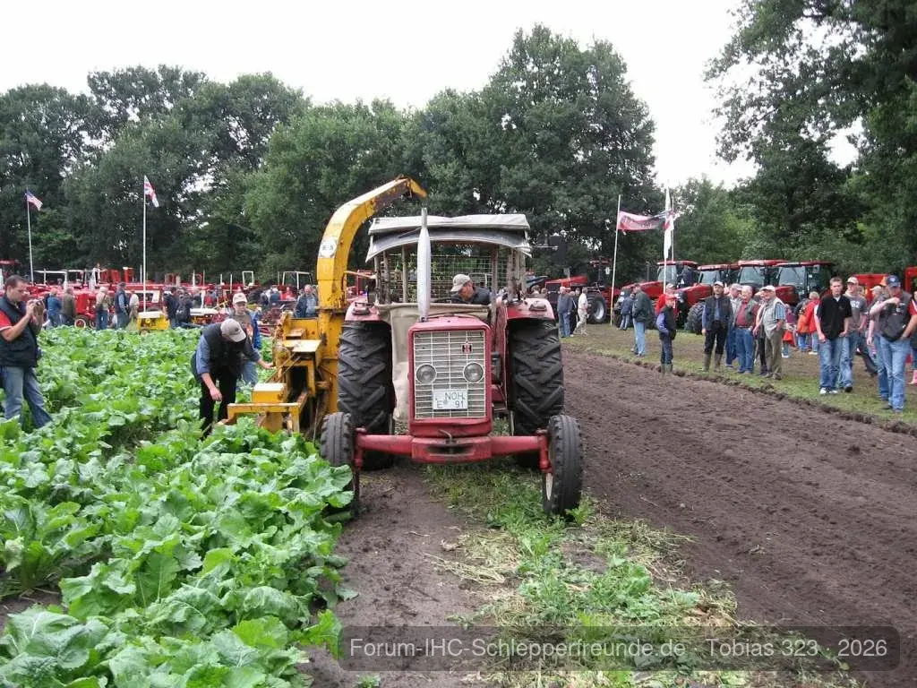 Da die anderen Fotos weg sind