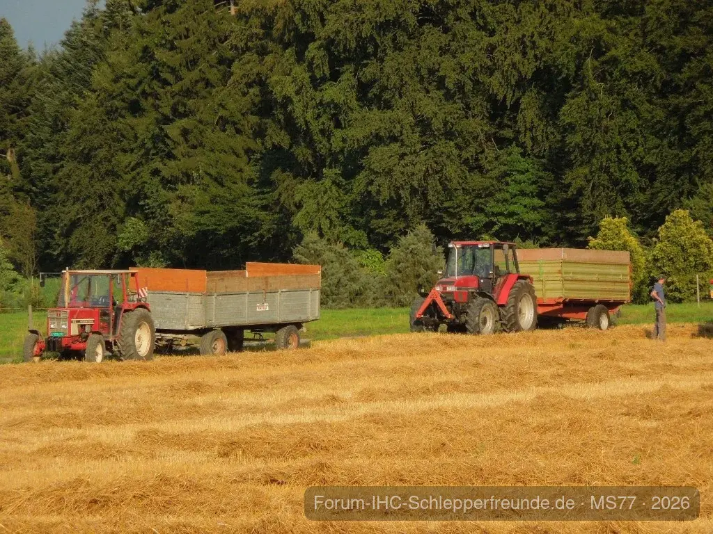 Dreschen 2013