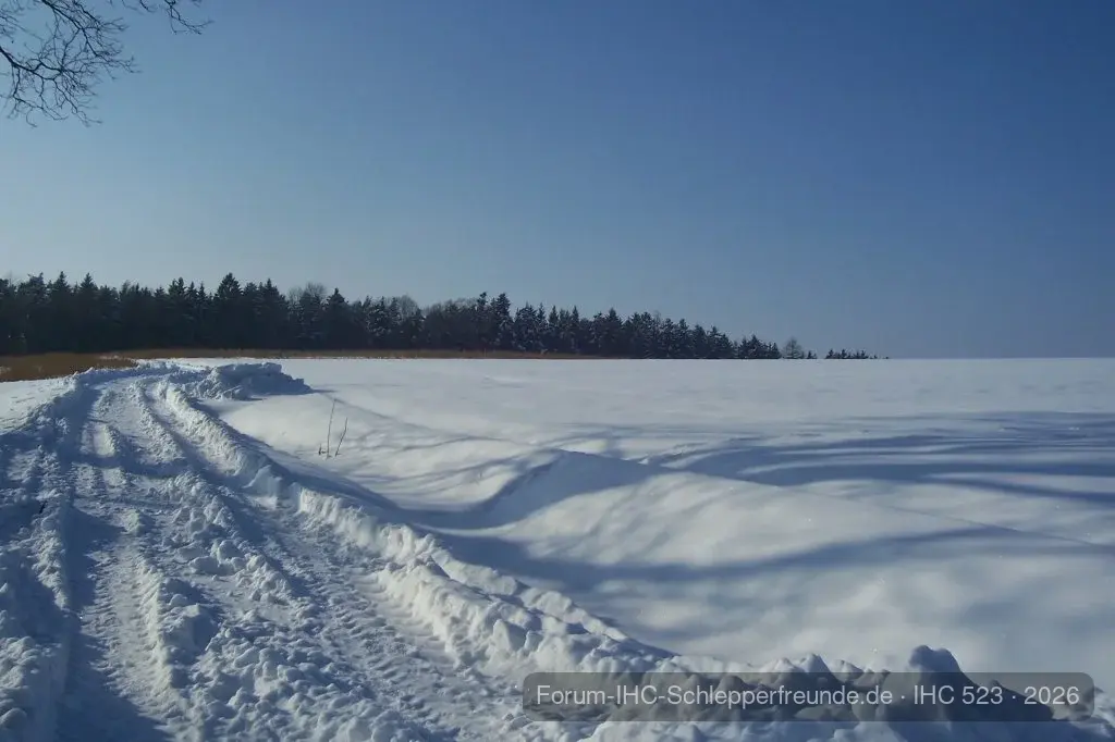 Ein super schöner Wintertag