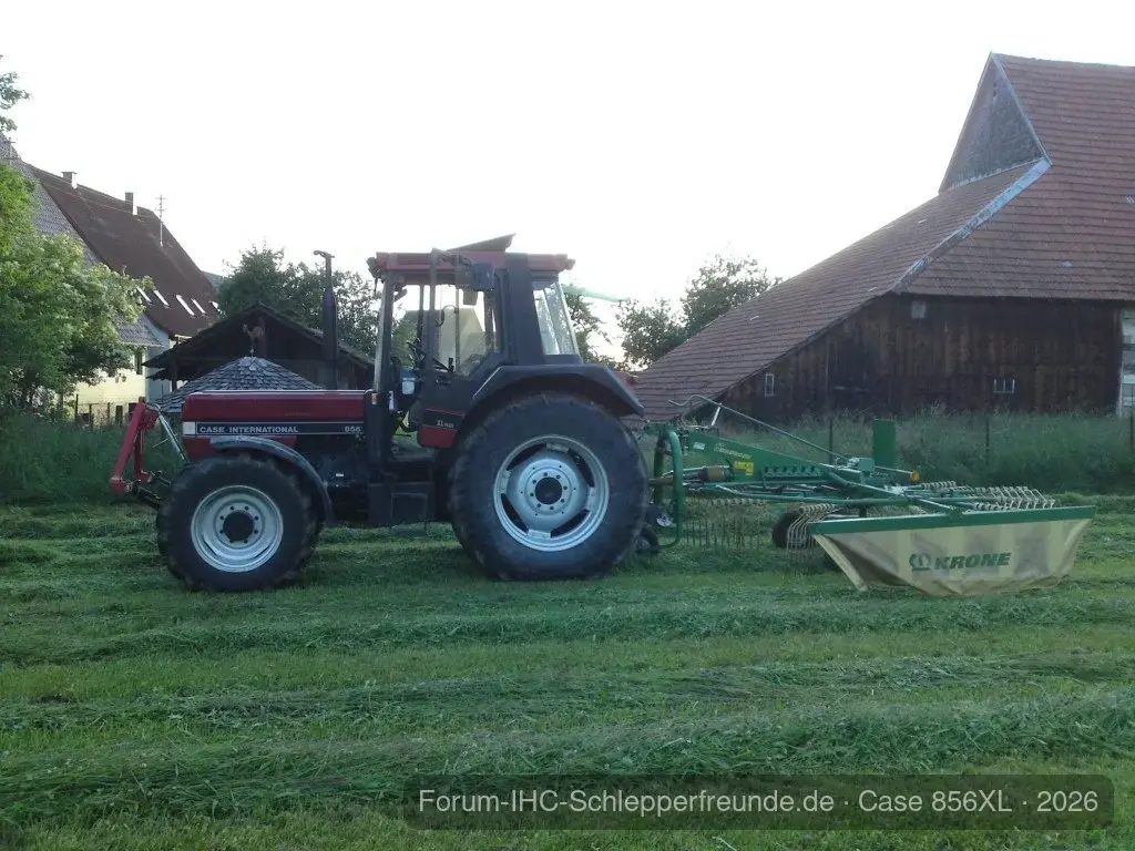 erster Schnitt