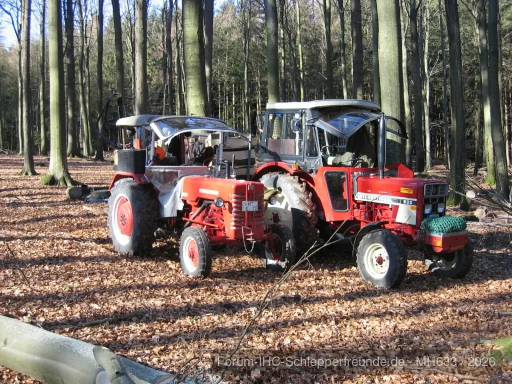 Forstarbeiten
