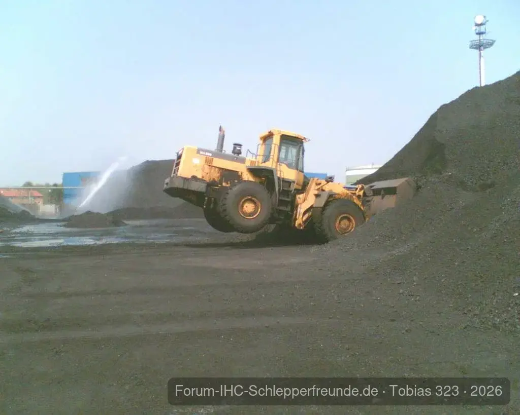 Foto Deichkönig