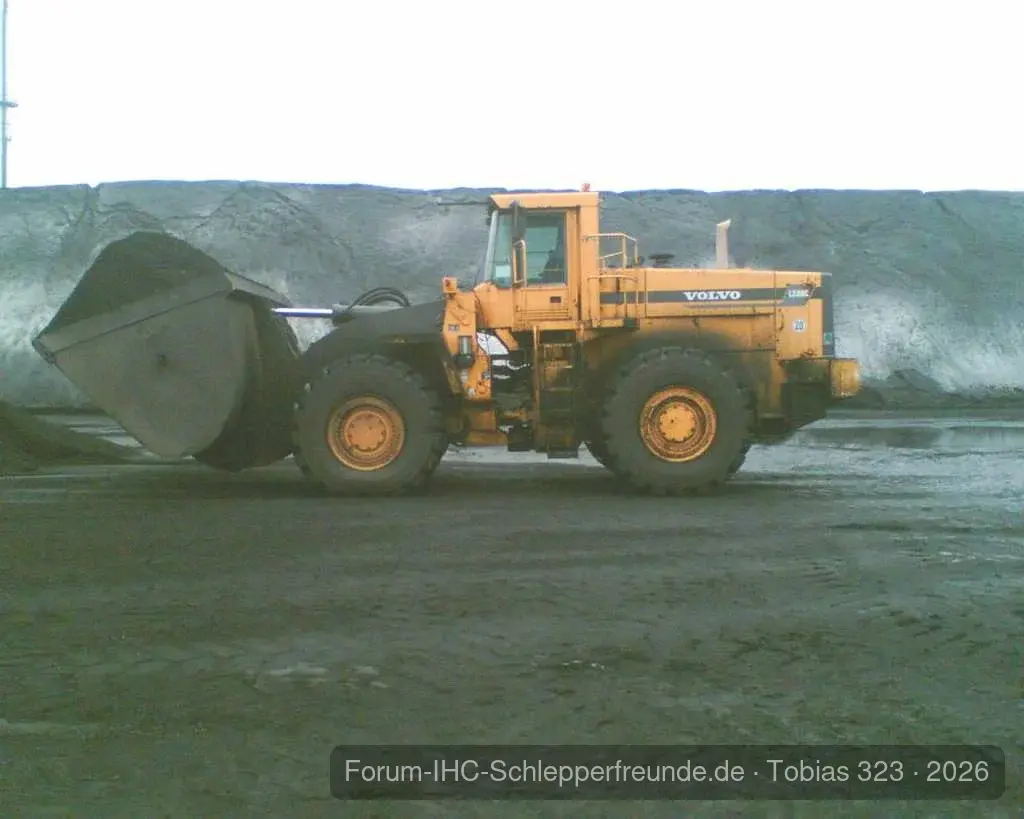 Foto Deichkönig