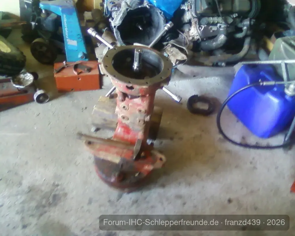 Franz D 439