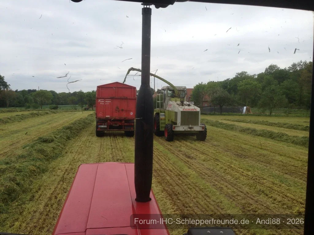 Gras Häckseln