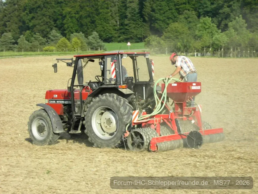 Gras sähen