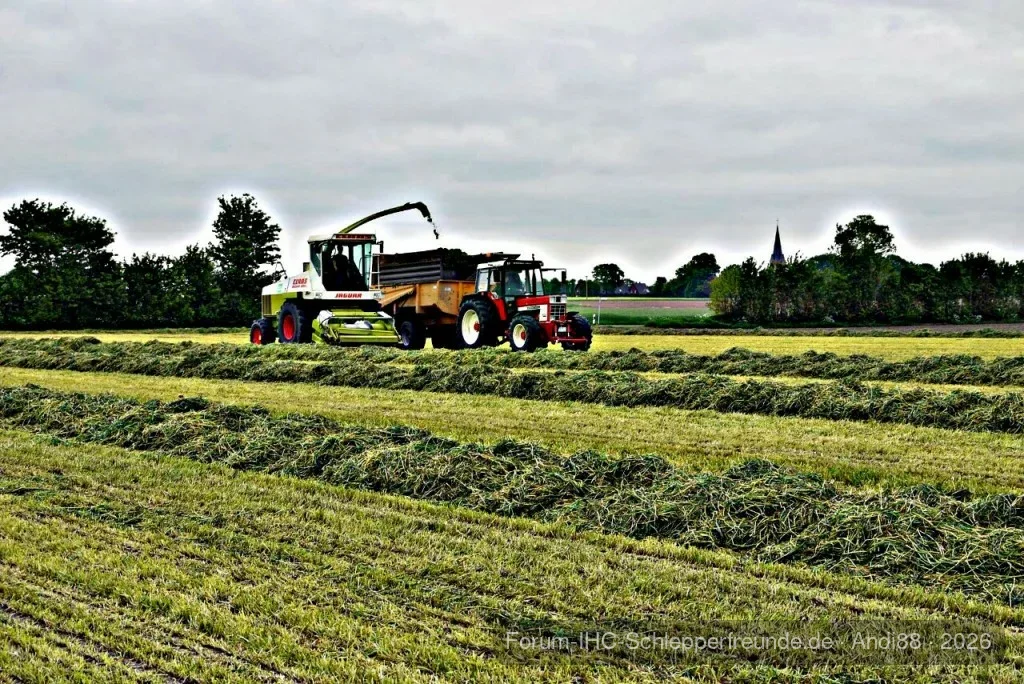 Grasernte mit meinem 946