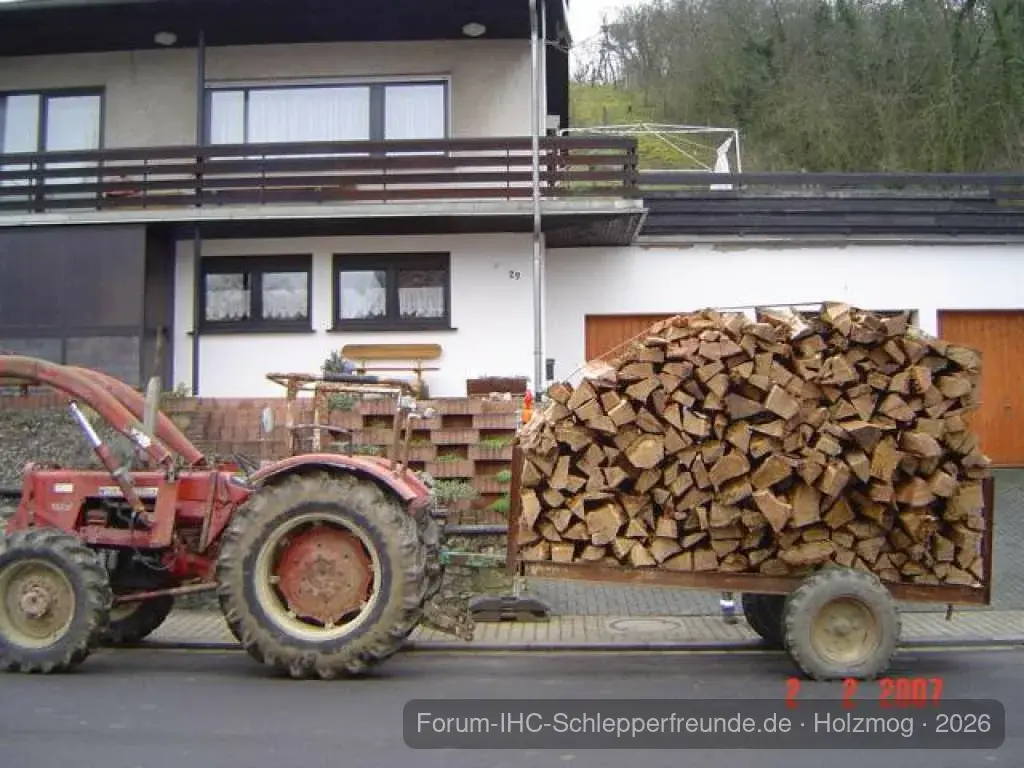 gut Holz