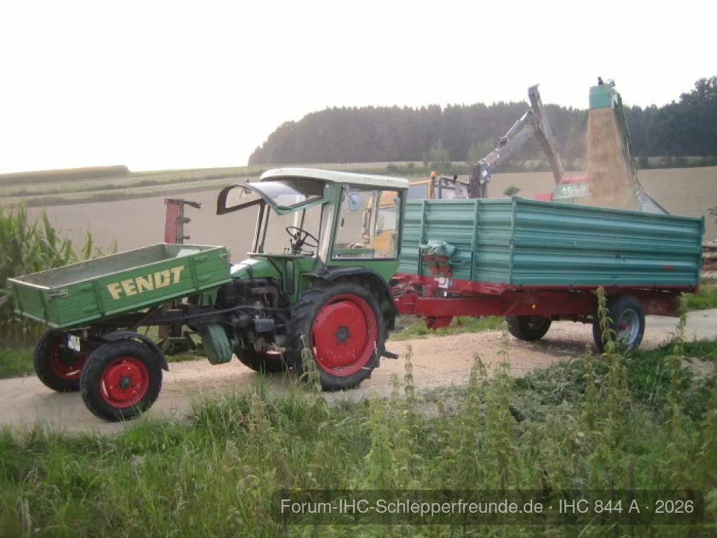 Hackschnitzel 2008