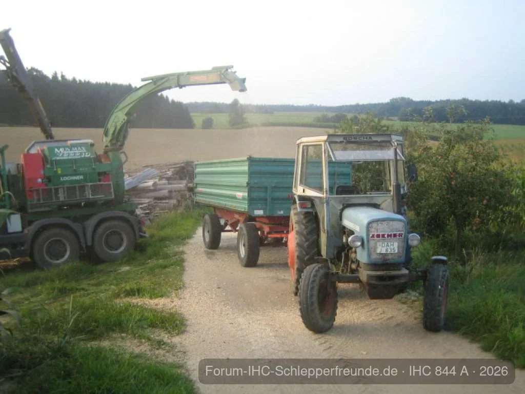 Hackschnitzel 2008
