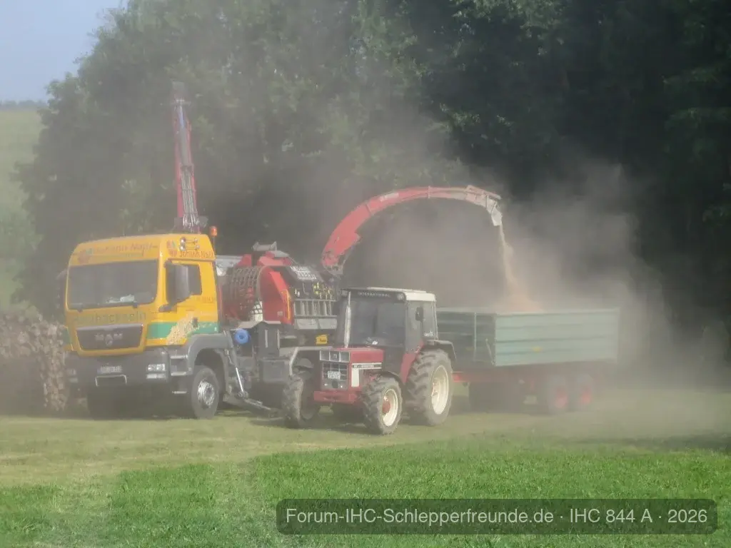 Hackschnitzel 2013