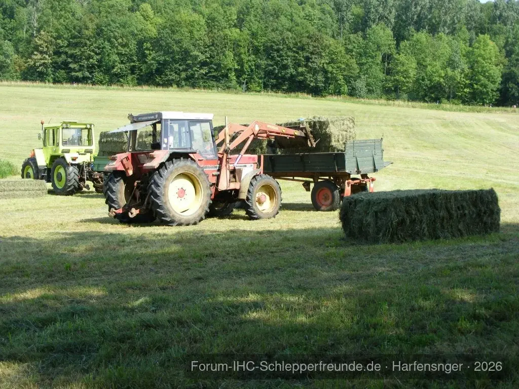 Harfensenger