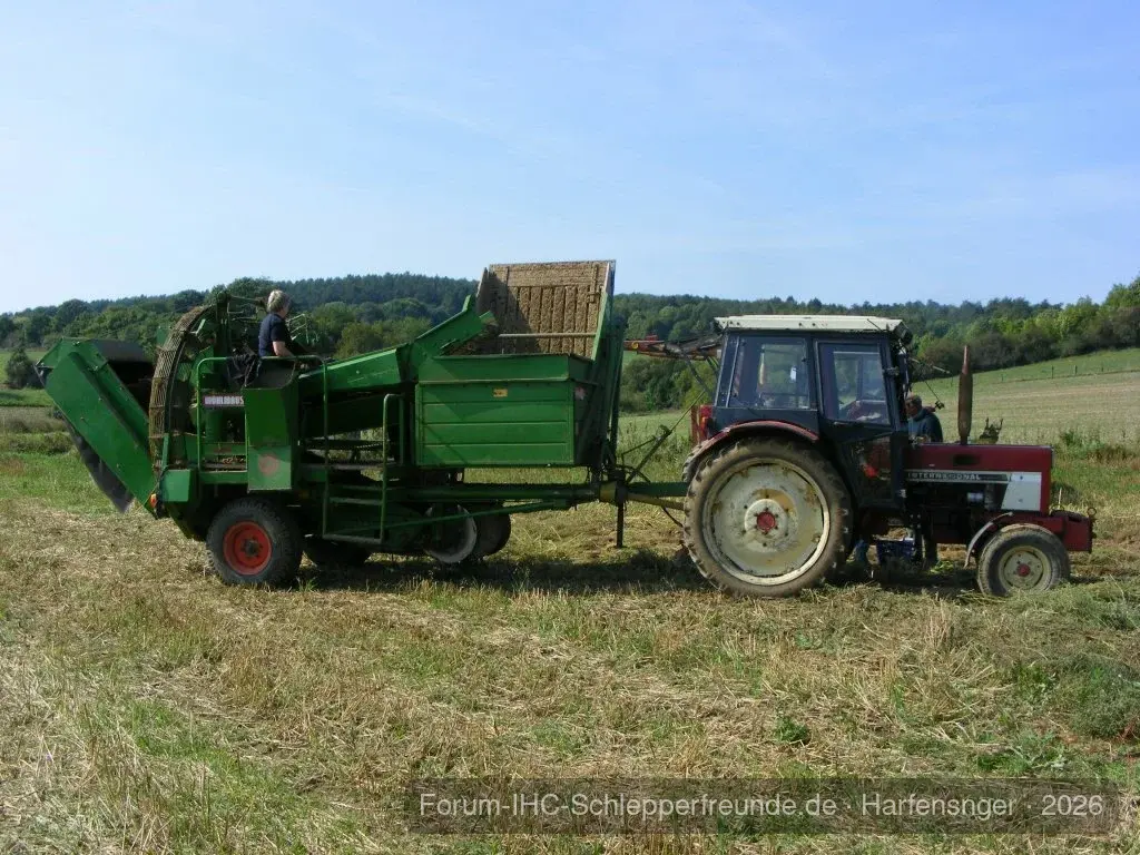 Harfensnger