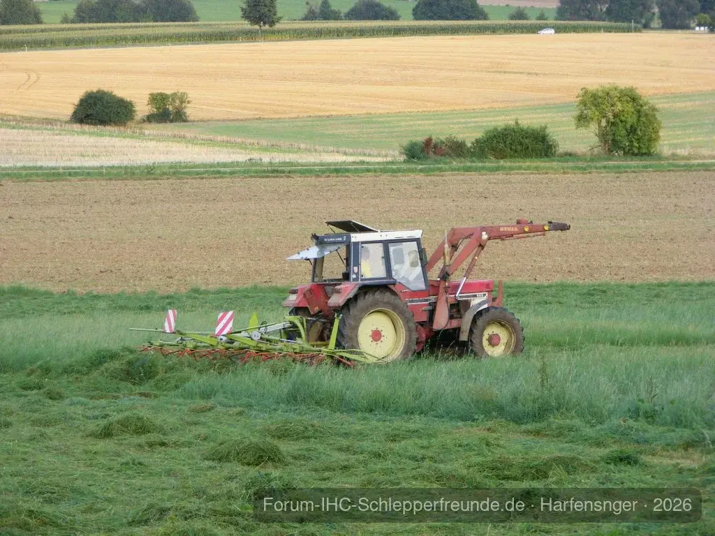 Harfensnger