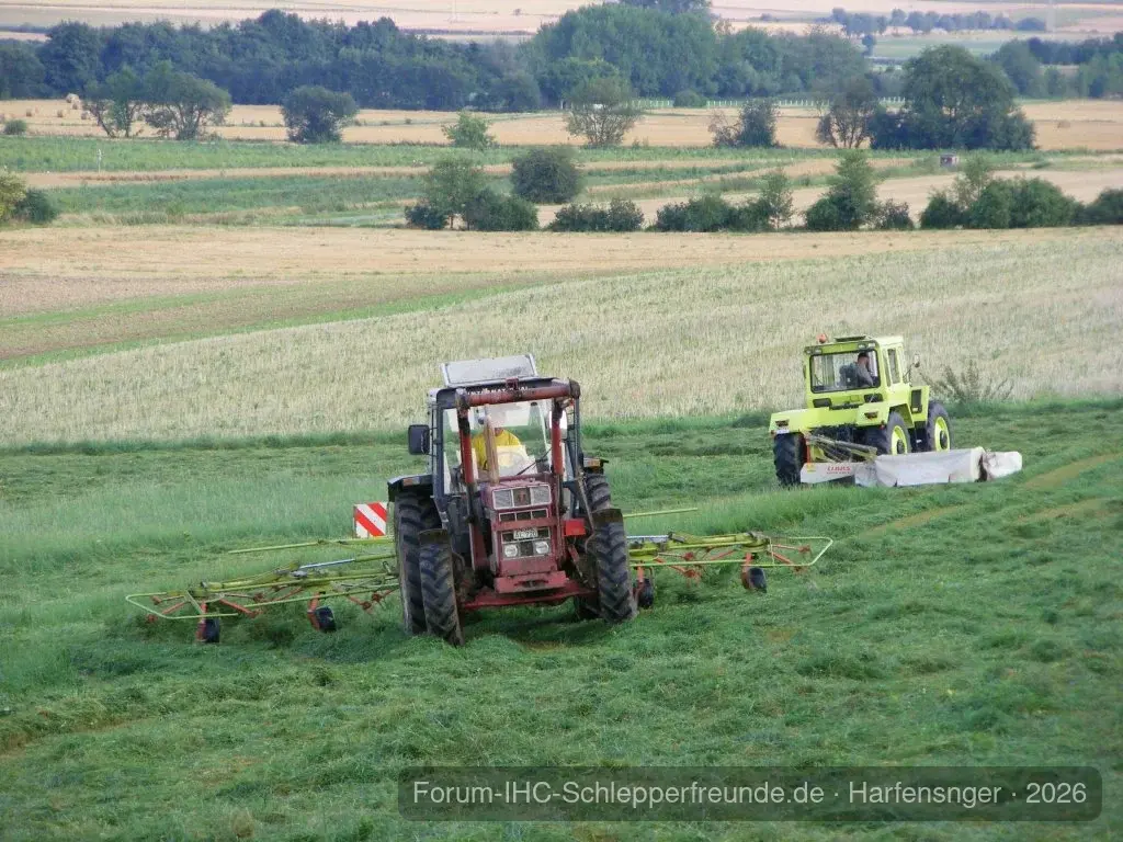 Harfensnger