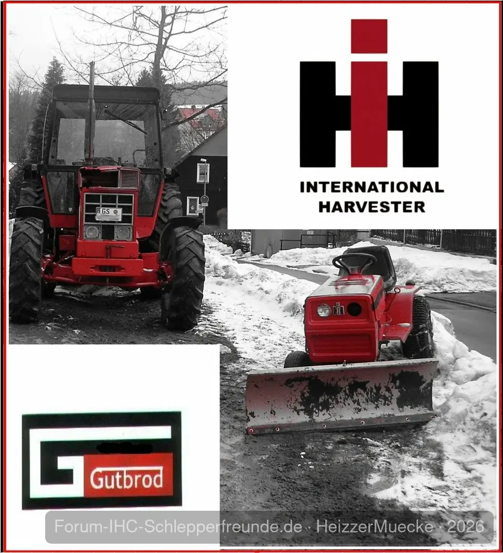 HeizzerMuecke