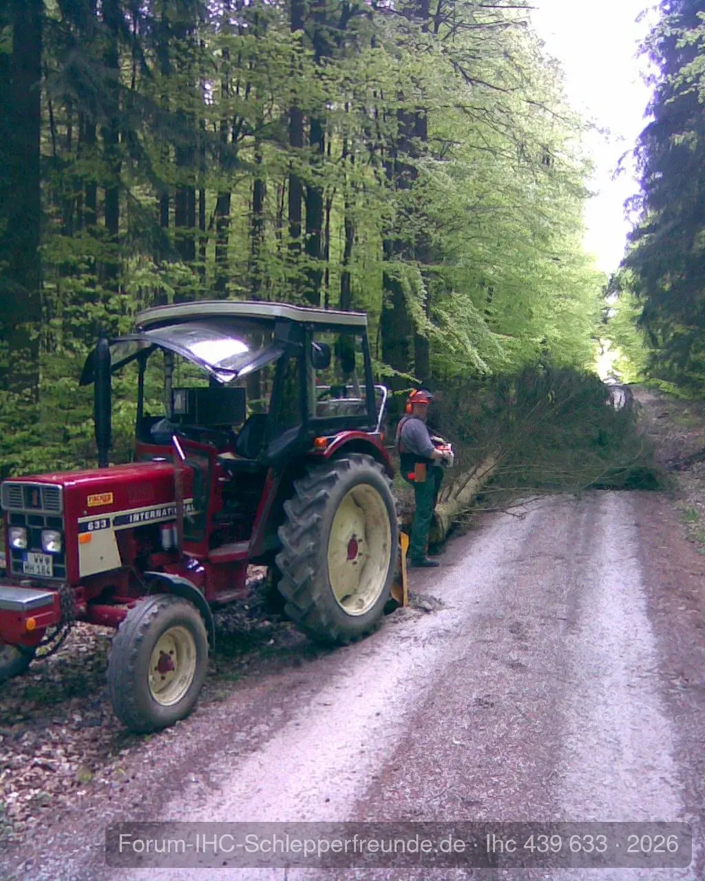 Heute beim Holzmachen