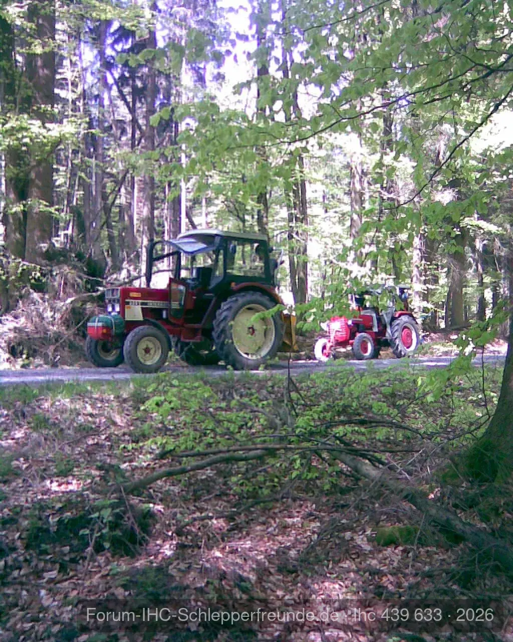 Heute beim Holzmachen