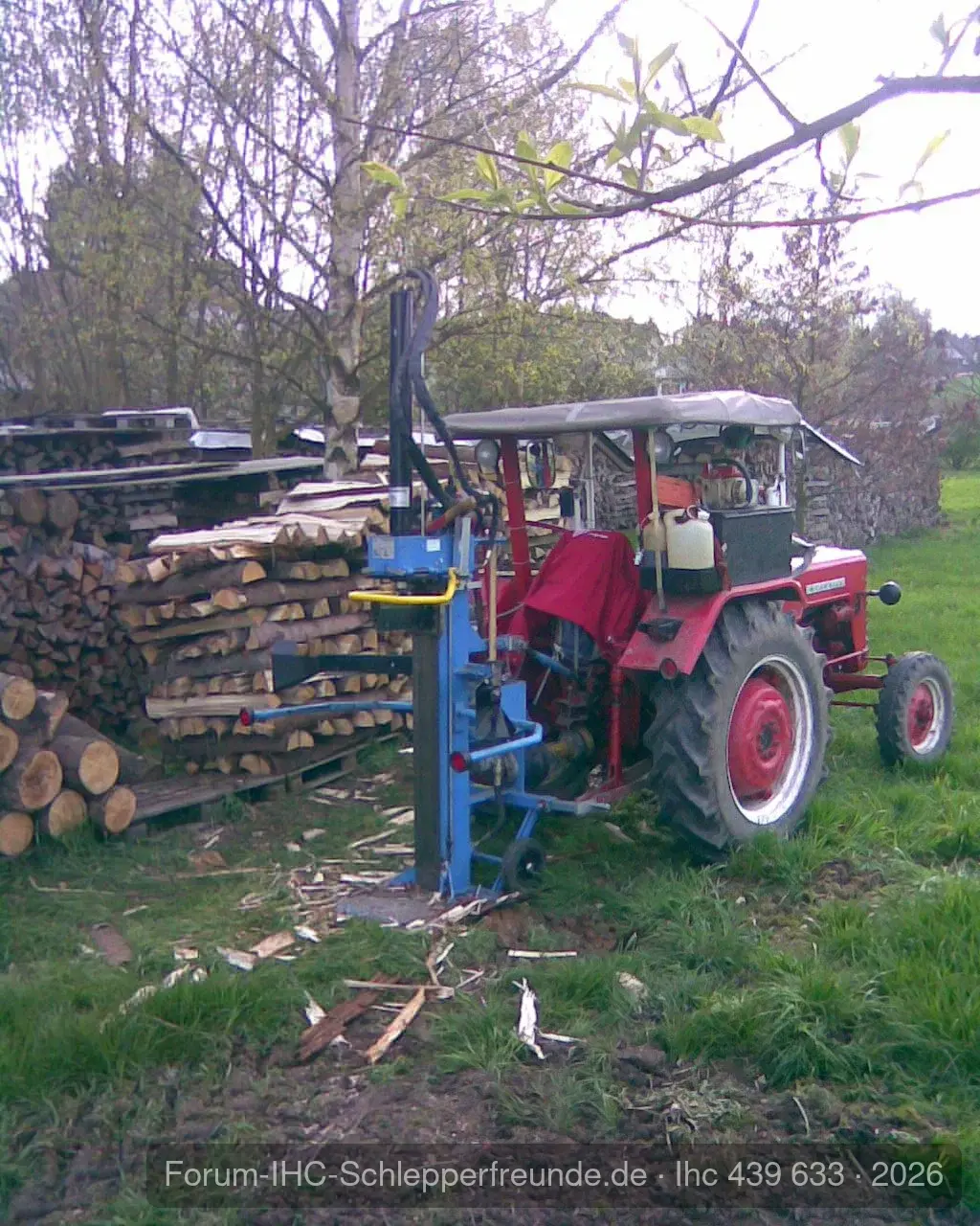 Heute beim Holzspalten