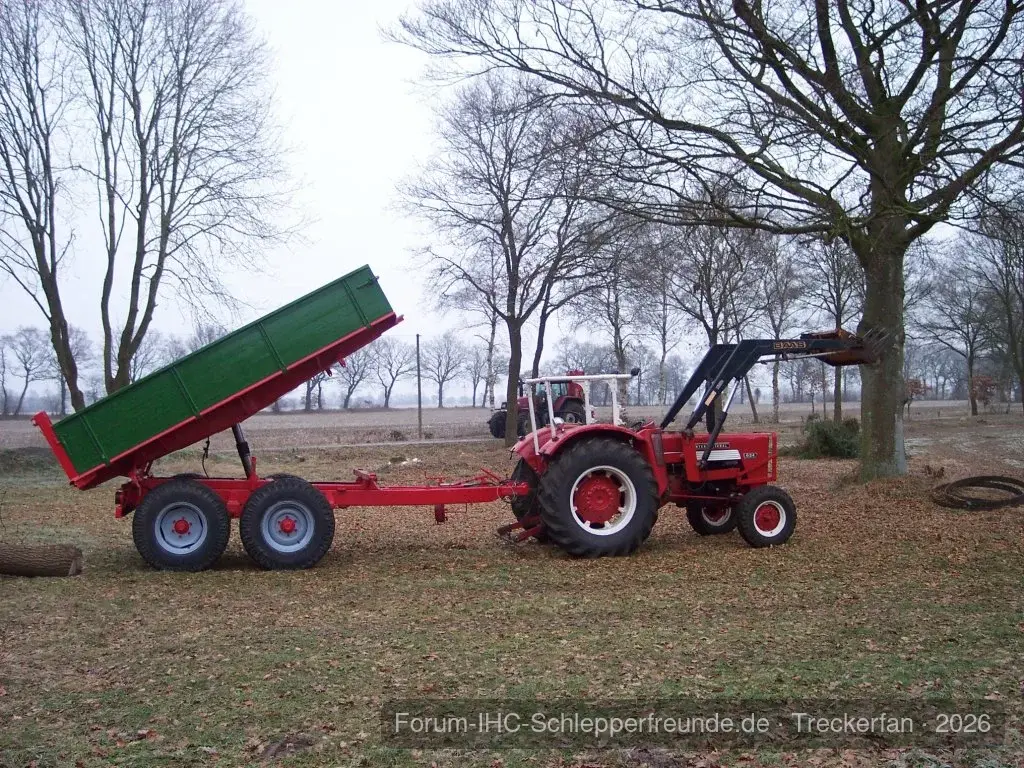 Holz 2011