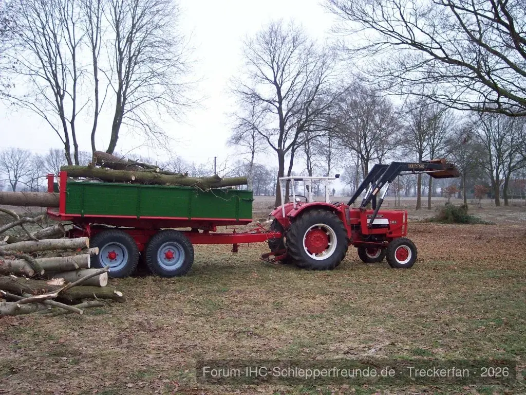 Holz 2011