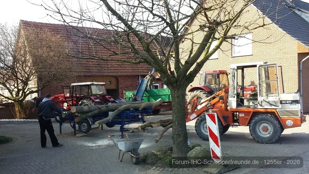 Holz 2014