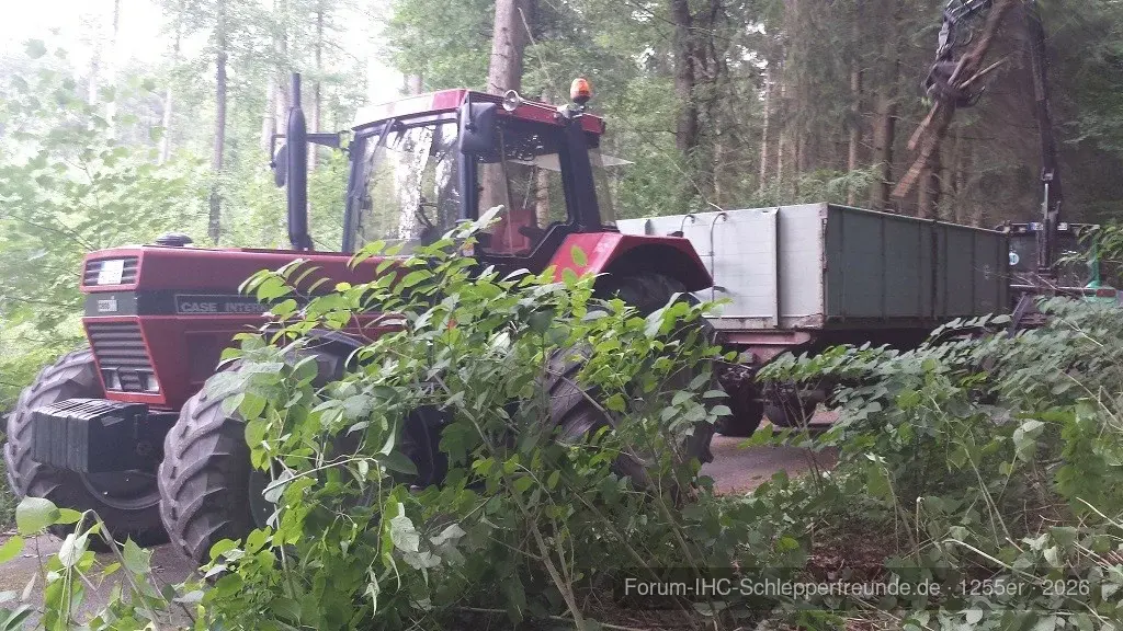 Holz 2014