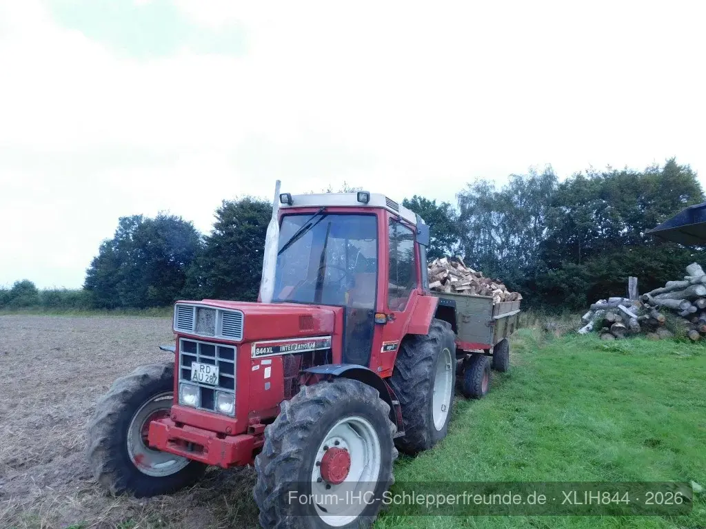 Holz fahren m.meine Schätzchen