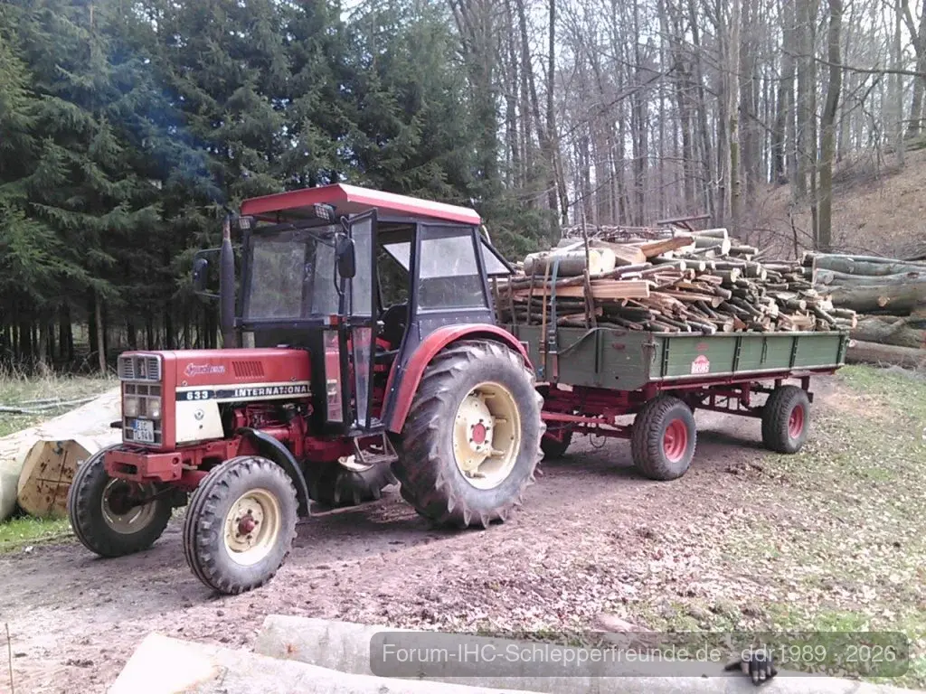 Holz holen 2012